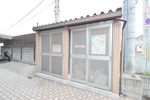  ピュアフォレスト