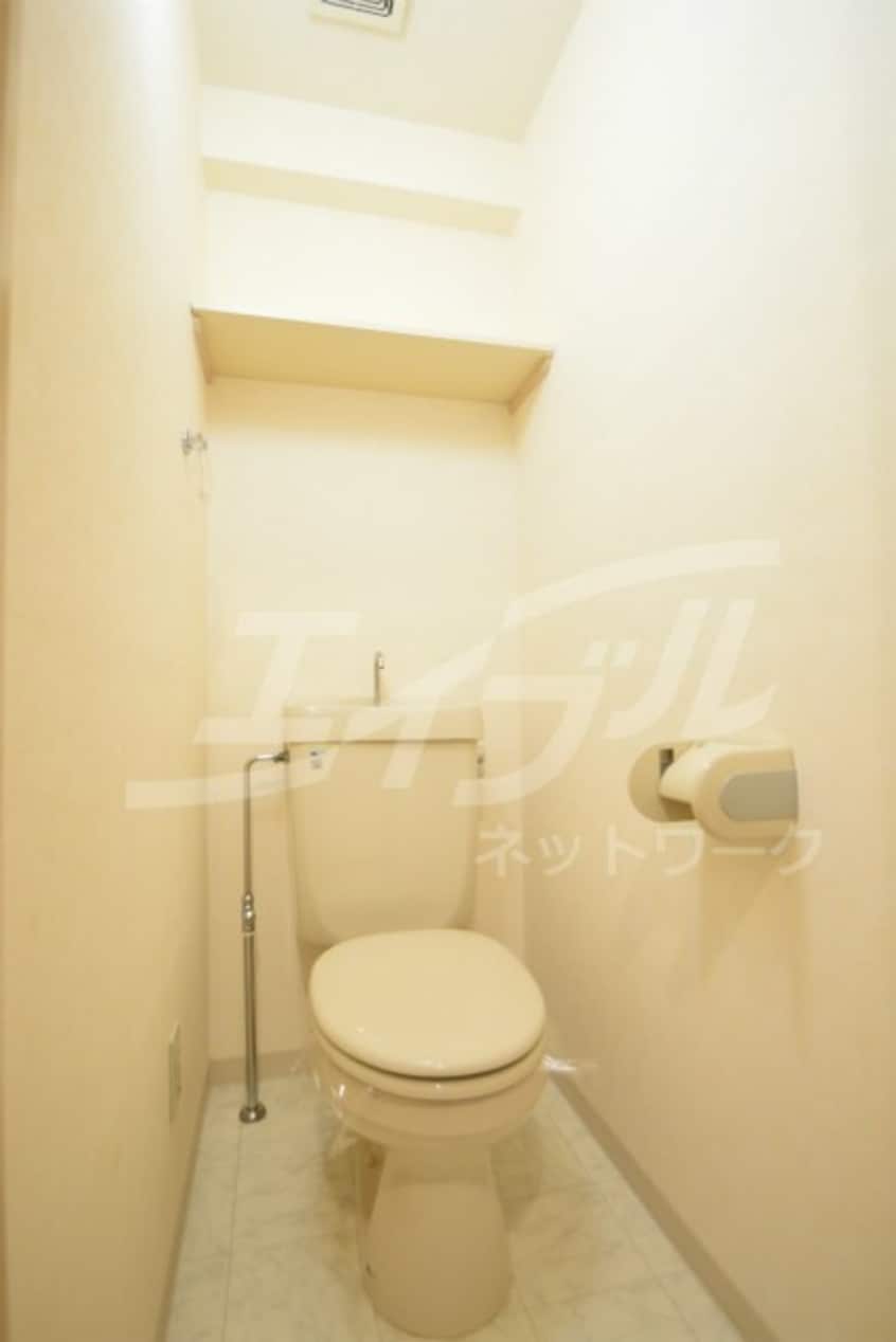  ピュアフォレスト