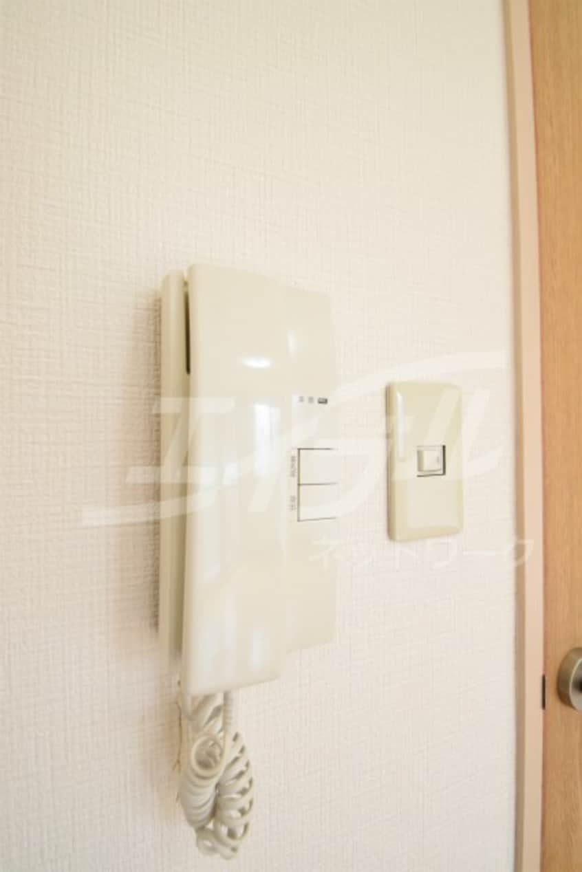  ピュアフォレスト