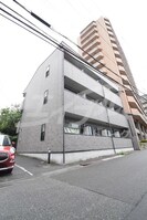 アンプルールフェールカメリアの外観