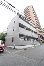 アンプルールフェールカメリア