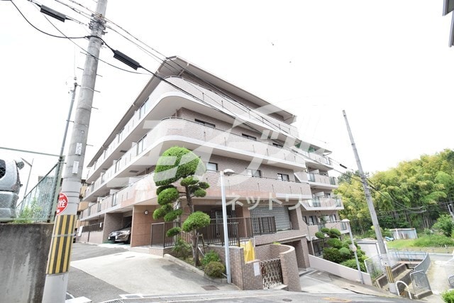  アムール桃山台