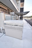 F asecia vertの外観