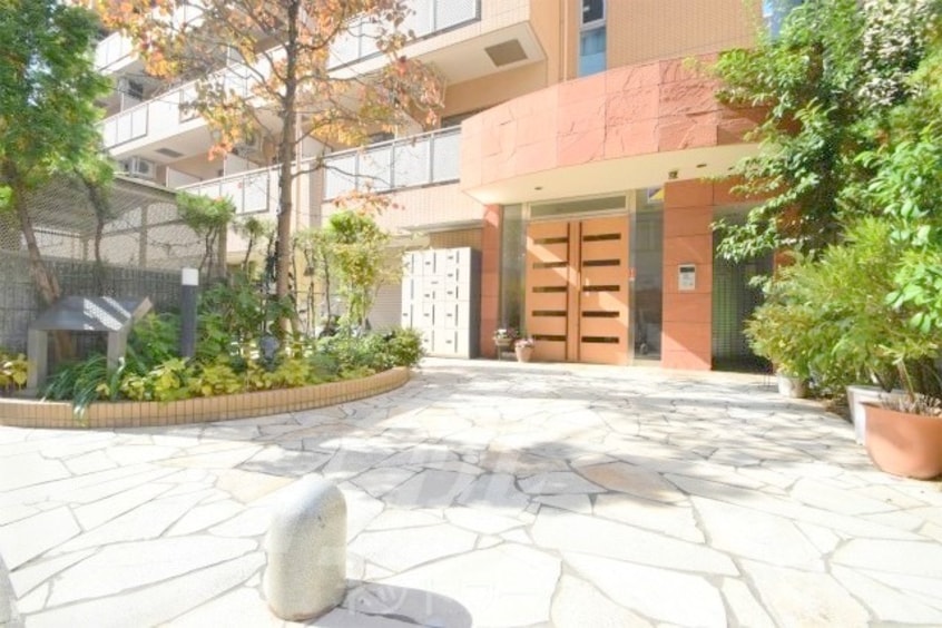  ウィニング・パラ江坂