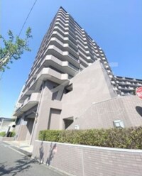 パインフィールド緑地公園