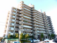 シェルモール采女　503