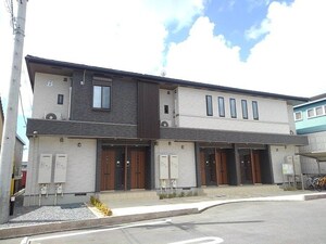 レモンツリーＢ