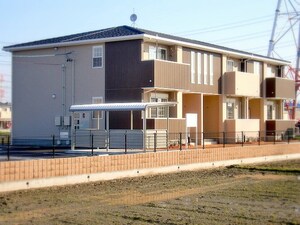 ハマナス T.Y