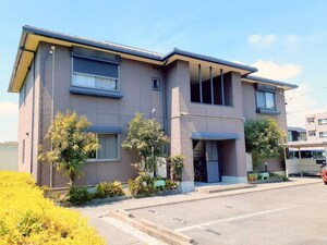 バリュージュテラモト