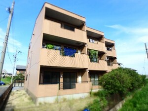 Esperanca