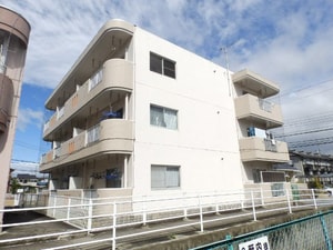 マンションほうれん草