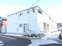 カモミール・N