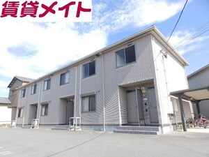MSコート