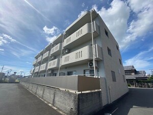 マエストロ伊勢