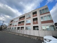 マンドラ　テノーレ