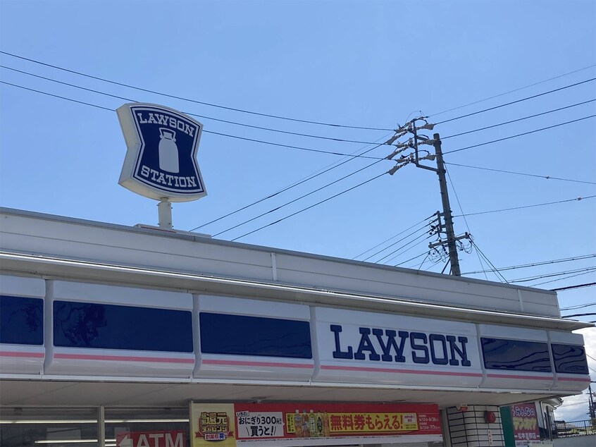 ﾛｰｿﾝ 松本並柳店(コンビニ)まで619m パナハイツ並柳