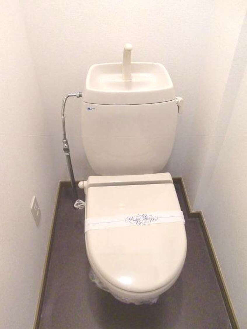  ニューシティシャルム