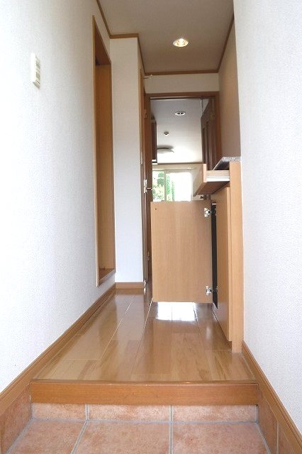  ビオレータ
