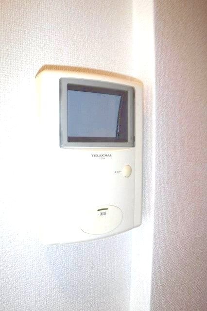  ビオレータ