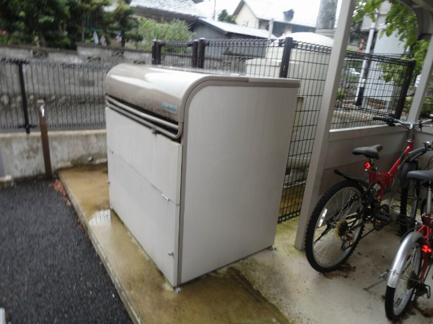  ビオレータ