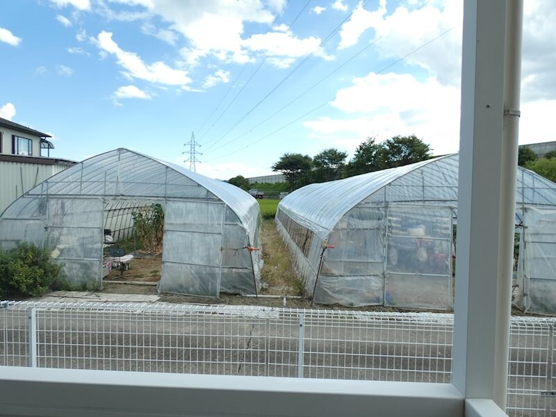  サープラス太尾