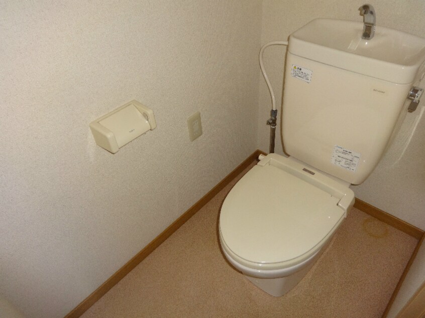  ライトクルー