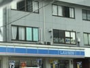 ﾛｰｿﾝ 松本新村店(コンビニ)まで772m オークハイツ