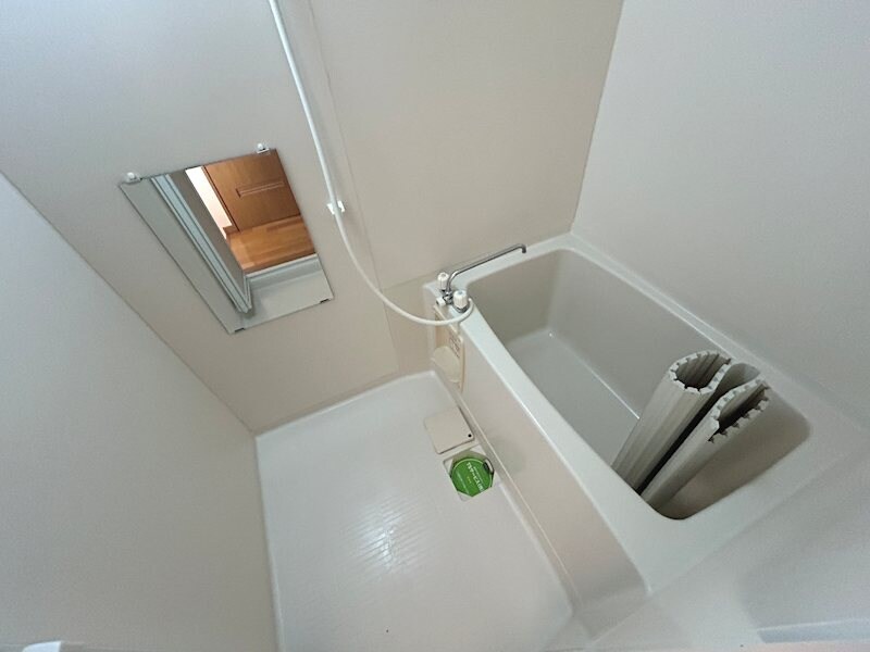  リトルベア並柳