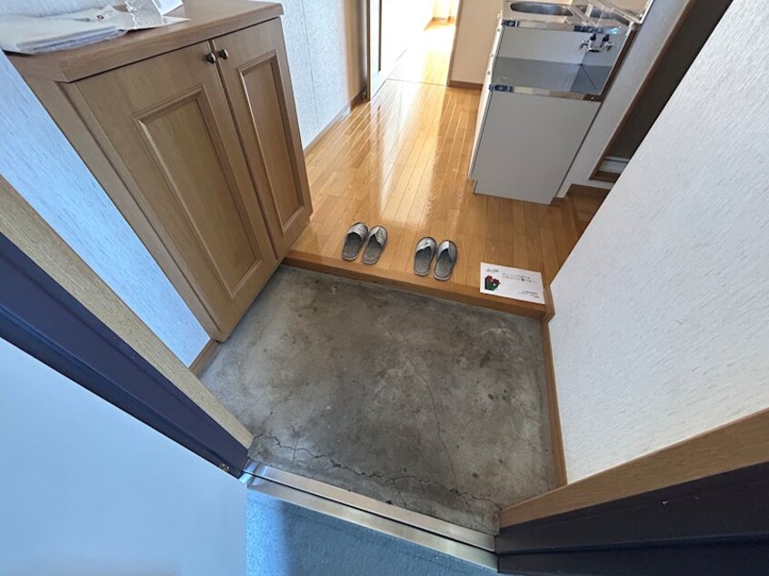  リトルベア並柳