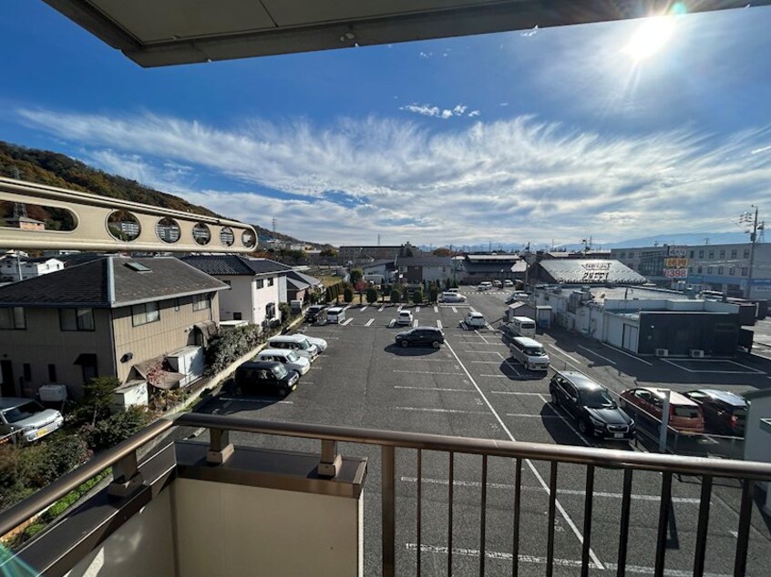  リトルベア並柳