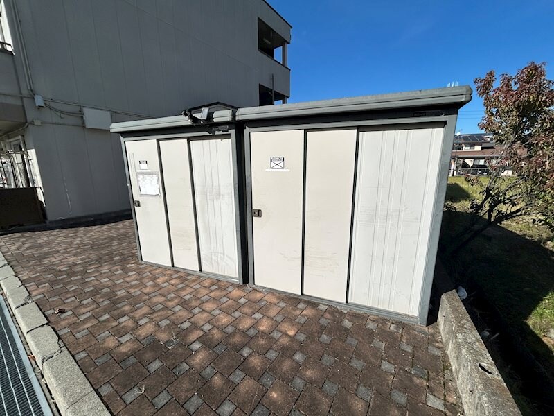  リトルベア並柳