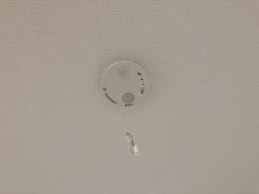  フォーブル　ロッキー