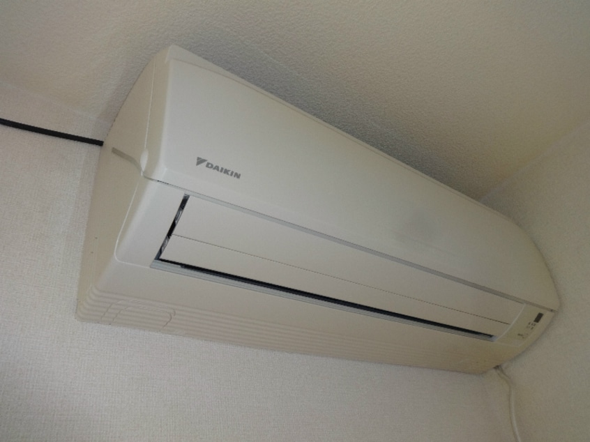  ビューラーはるかB