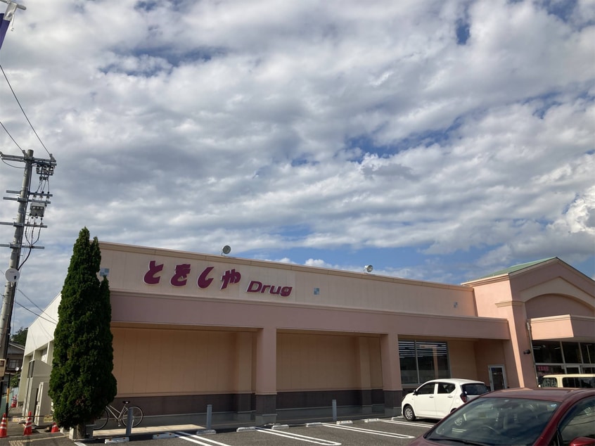 ｸｽﾘのとをしや薬局 松本高宮店(ドラッグストア)まで323m MASTTOWN　FERIO