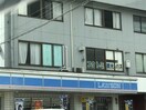 ﾛｰｿﾝ 松本新村店(コンビニ)まで710m 稼ぐ家姫１６号