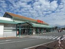 西友 西尾張部店(スーパー)まで925m サンガーデンワカツキＥ棟