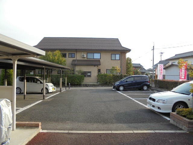  エヴァーグリーン2000