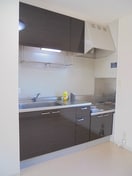  ディアスヤマーニ　B