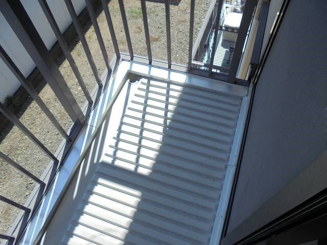  セフィラひまわり