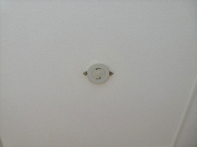  ミ・カサ・こまくさ