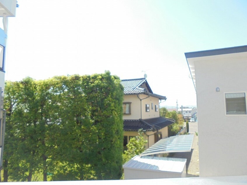 写真は203号室です（参考） ヤングハイツ