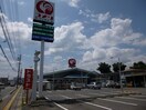 ｺﾒﾘﾊｰﾄﾞｱﾝﾄﾞｸﾞﾘｰﾝ母袋店(電気量販店/ホームセンター)まで466m Ｙ´Ｓコート