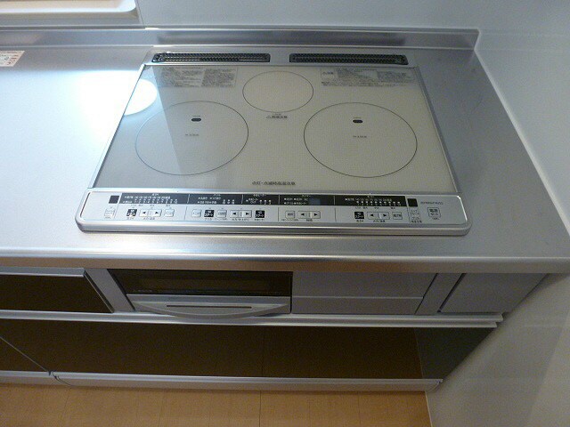 写真は203号室です。（参考） グレイスフル吉田