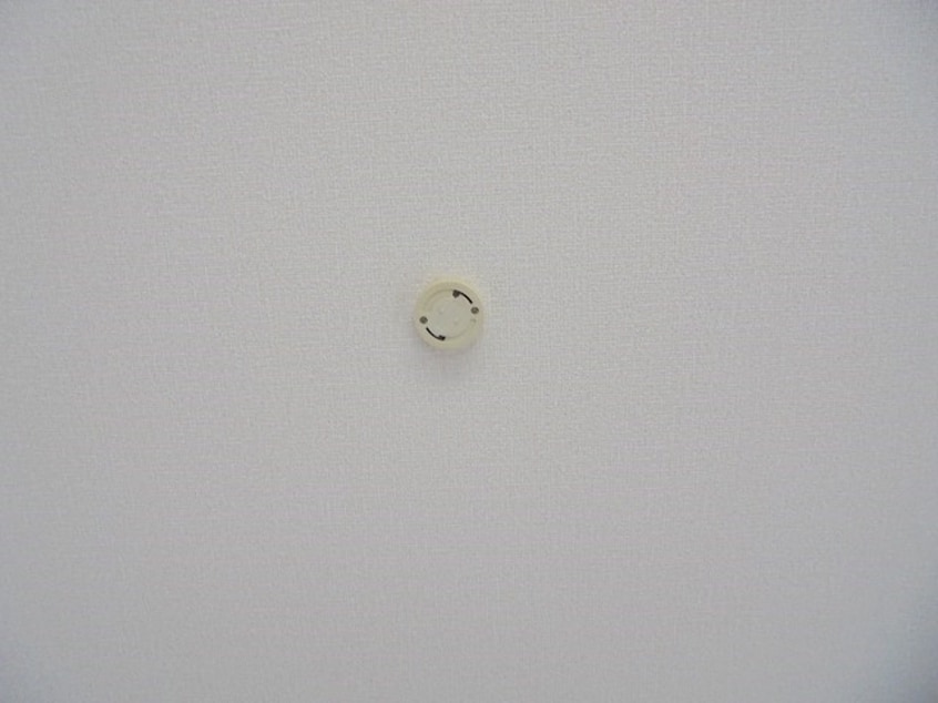 写真は303号室です（参考） ハイカムール・城