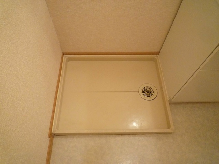  ウィスティリア