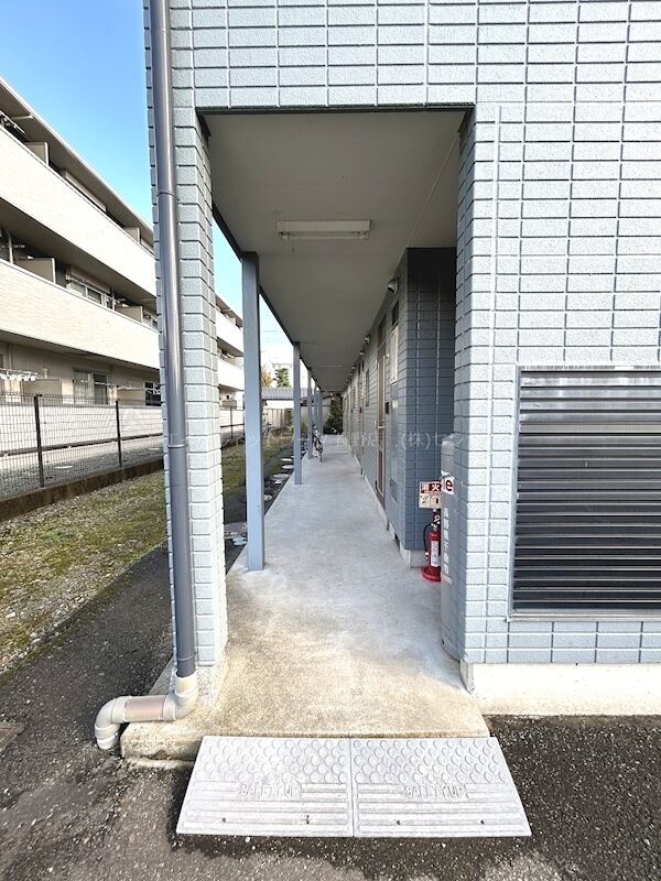  ディンプル島田