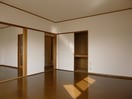  ブルーフェアリー