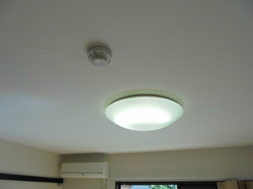 写真は別号室です フレグランスかわい