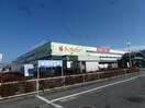 ｱｯﾌﾟﾙﾗﾝﾄﾞ 大豆島店(スーパー)まで862m コンフォート7　F