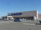 ｹｰﾖｰﾃﾞｲﾂｰ 長野松岡店(電気量販店/ホームセンター)まで1299m コンフォート7　F